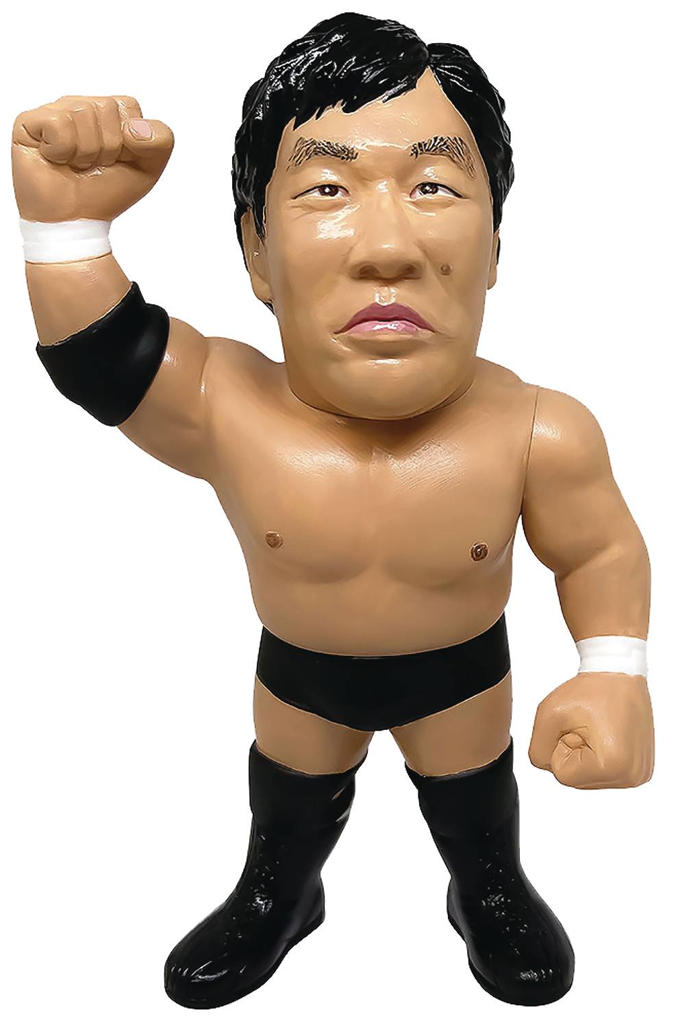 16 Directions: All Japan Pro Wrestling - Jumbo Tsuruta (023)