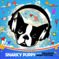 Snarky Puppy - Live At Groundup Music Festival (RSD 2026 Exclusive)