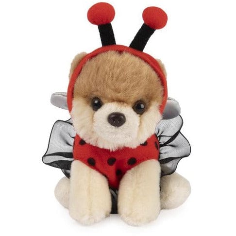Gund: Boo The World's Cutest Dog - Itty Bitty Boo #64 (Lady Bug)