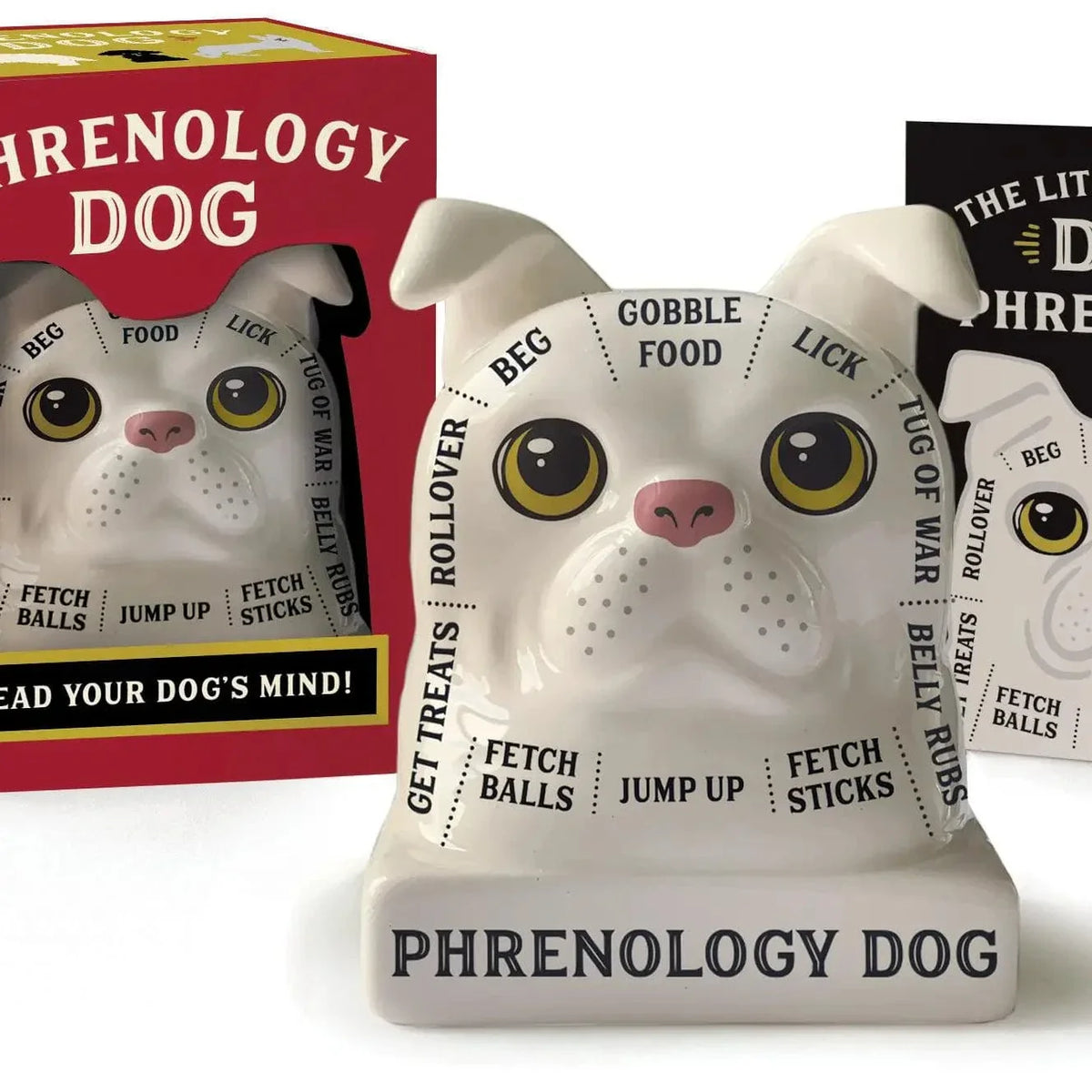 Phrenology Dog: Read Your Dog's Mind! [Mini Kit]