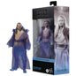 HASBRO COLLECTIBLES: STAR WARS BLACK SERIES - OBIN WAN KENOBI - QUIGON JINN FORCE SPIRIT ACTION FIGURE