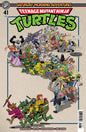 Teenage Mutant Ninja Turtles: Saturday Morning Adventures #41 Variant C (Mitchroney) (Release Date: 09/23/2026)