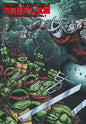 Teenage Mutant Ninja Turtles: The Ultimate Collection, Vol. 7 TP