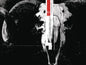 Black Monday Murders TP Vol 01 All Hail God Mammon (MR)