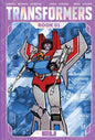 TRANSFORMERS DLX HC BOOK 01 CVR B DIRECT MARKET ED