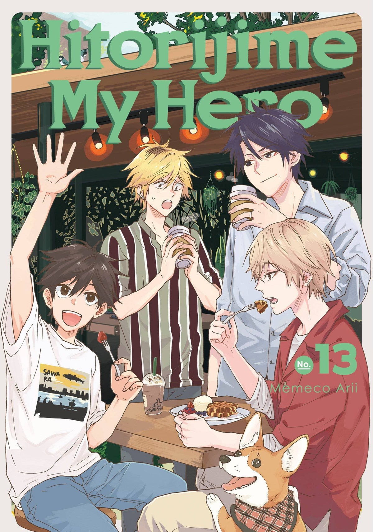 Hitorijime My Hero GN Vol 13 (MR)