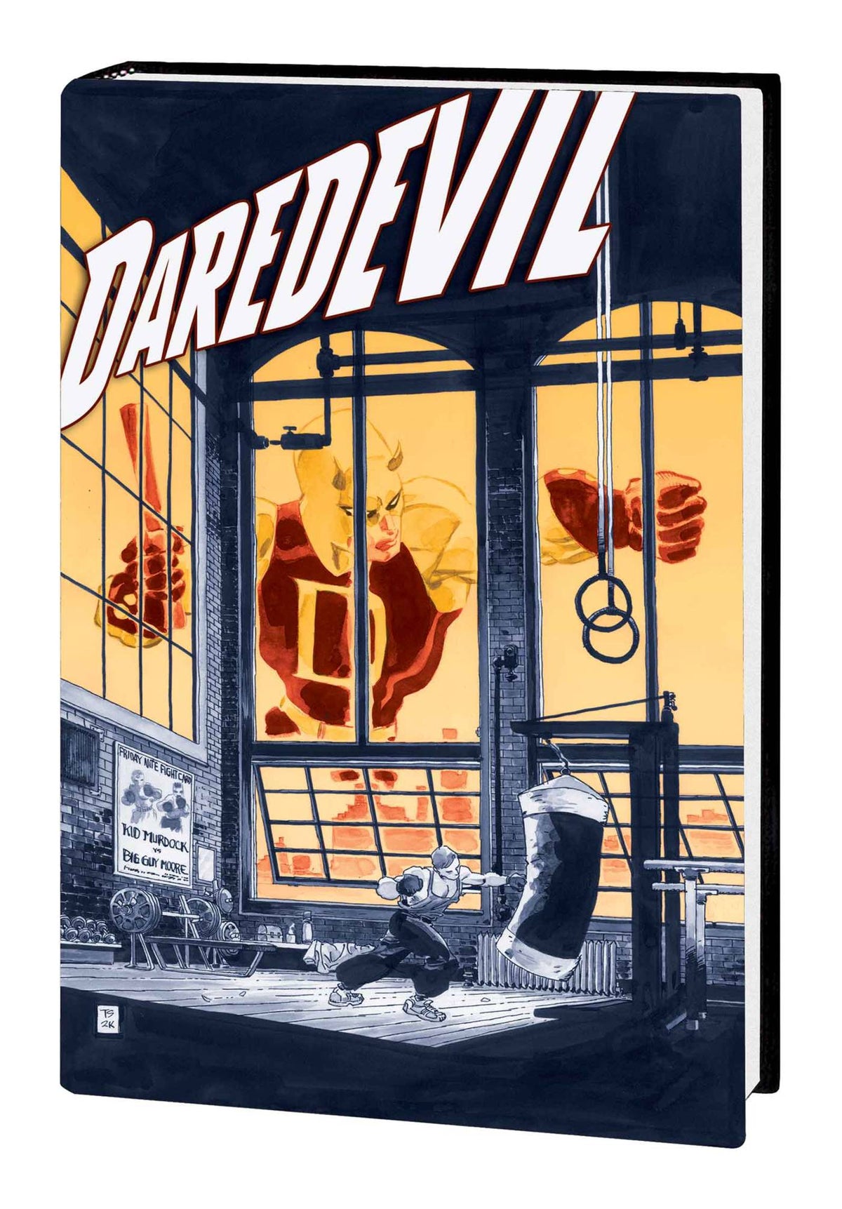 Jeph Loeb And Tim Sale Daredevil Gallery Edition HC