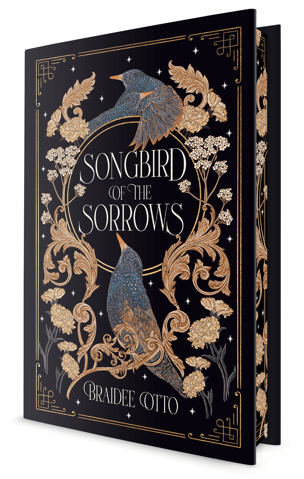 Songbird of the Sorrows by Braidee Otto (Hardcover)