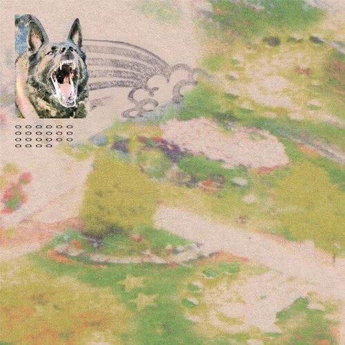 Feeble Little Horses - Girl With Fish (Clear Vinyl, Pink, Digital Download Card)