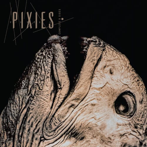 Pixies - Complete B Sides: 1988-97 (Indie Exclusive, Clear Vinyl)