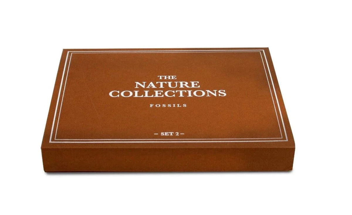 Geoworld: Nature Collections - Fossils Set #2
