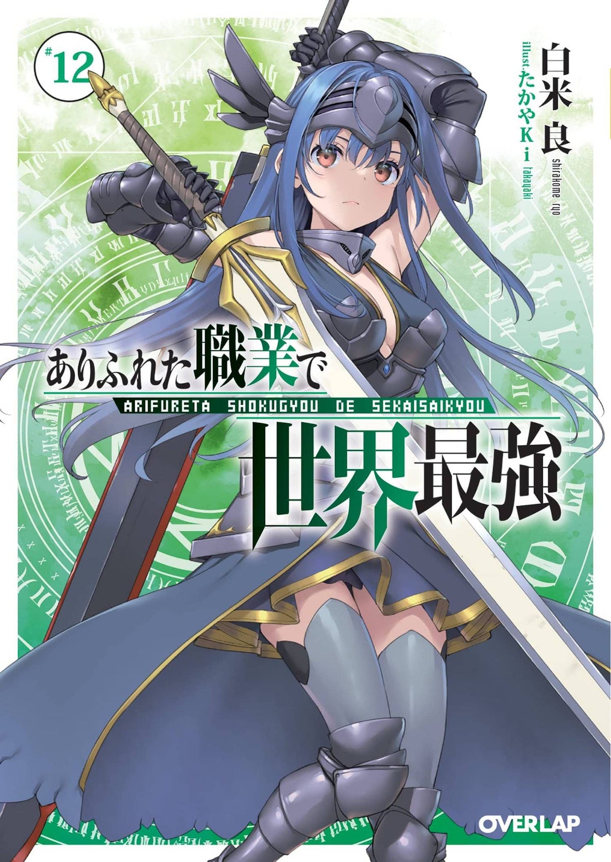 Arifureta From Commonplace Light Novel Vol 12 (MR)