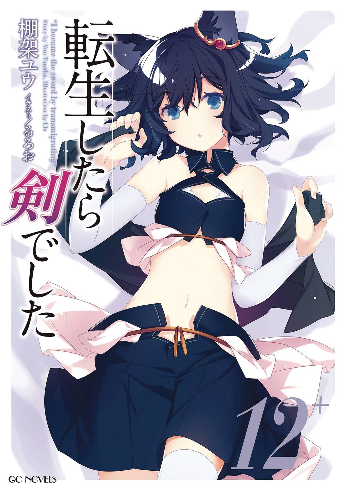 Reincarnated As A Sword Light Novel SC Vol 12