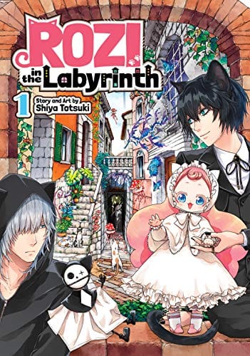 Rozi In The Labyrinth GN Vol 01
