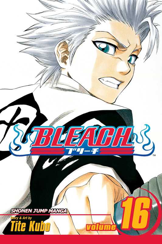 Bleach, Vol. 16 by Tite  Kubo: Paperback