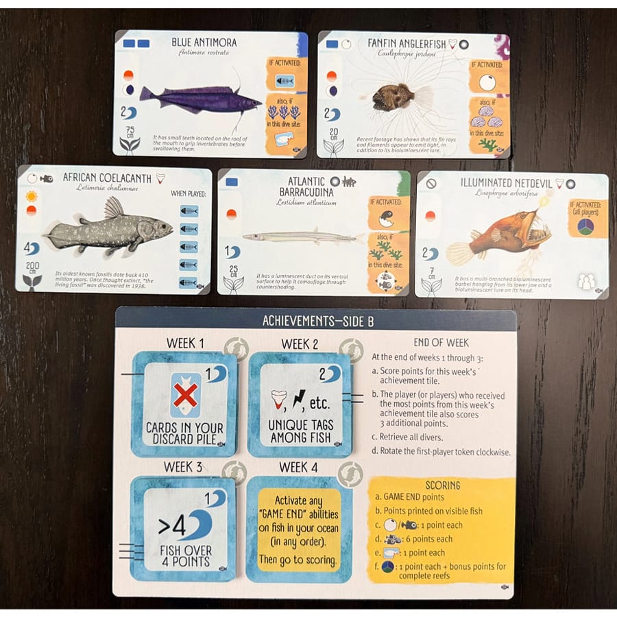Finspan: Sharks and Reef Expansion