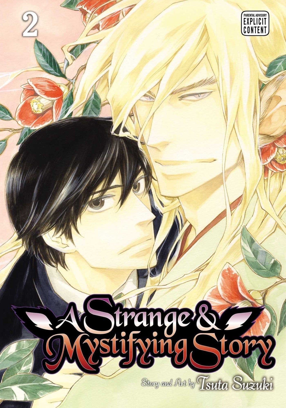 Strange & Mystifying Story GN Vol 02 (MR)