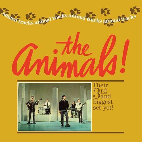 Animal - Animal Tracks
