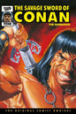 SAVAGE SWORD CONAN ORIGINAL OMNI DIRECT MARKET HC VOL 09 (RE