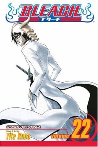 Bleach GN Vol 22
