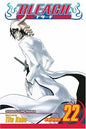 Bleach GN Vol 22