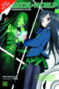 Accel World Light Novel Vol 02 Red Storm Princess
