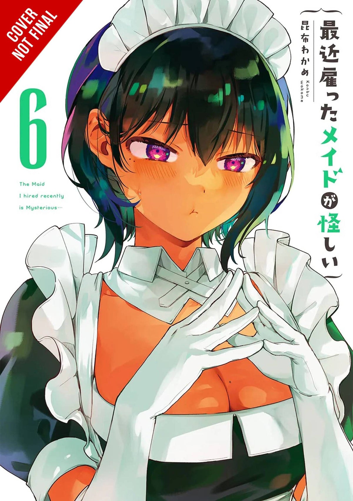 Maid I Hired Recently Is Mysterious GN Vol 06 (MR)
